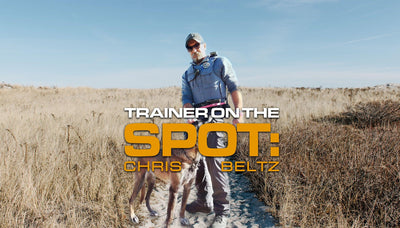From Trust To Obedience With Chris Beltz