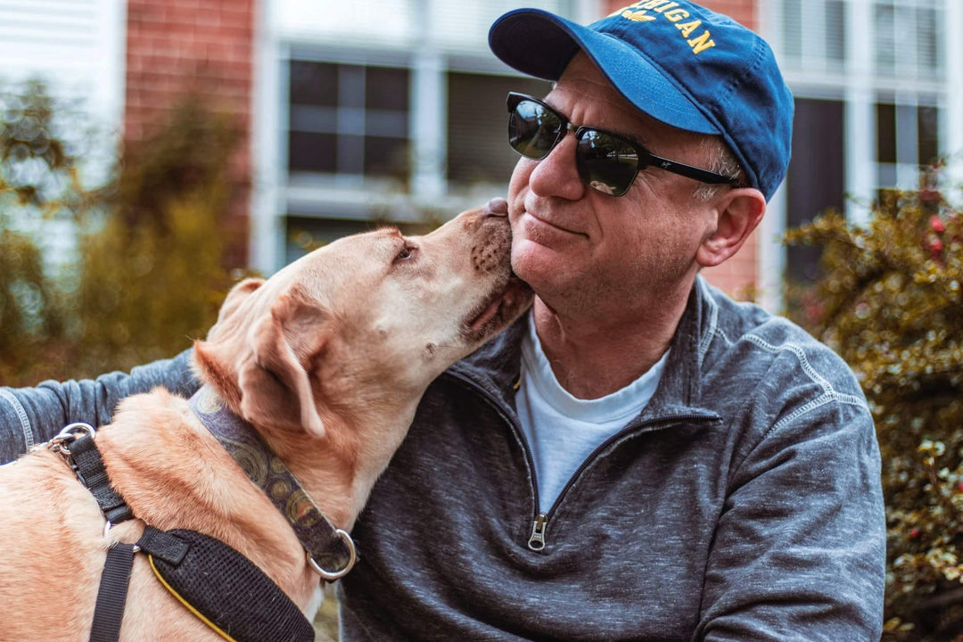 10 - Do's and Don’ts When Using Dog Shock Collar - INVIROX DOG TRAINING GEAR