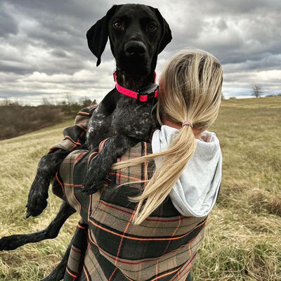 5 Shocking Facts About Dog Shock Collars