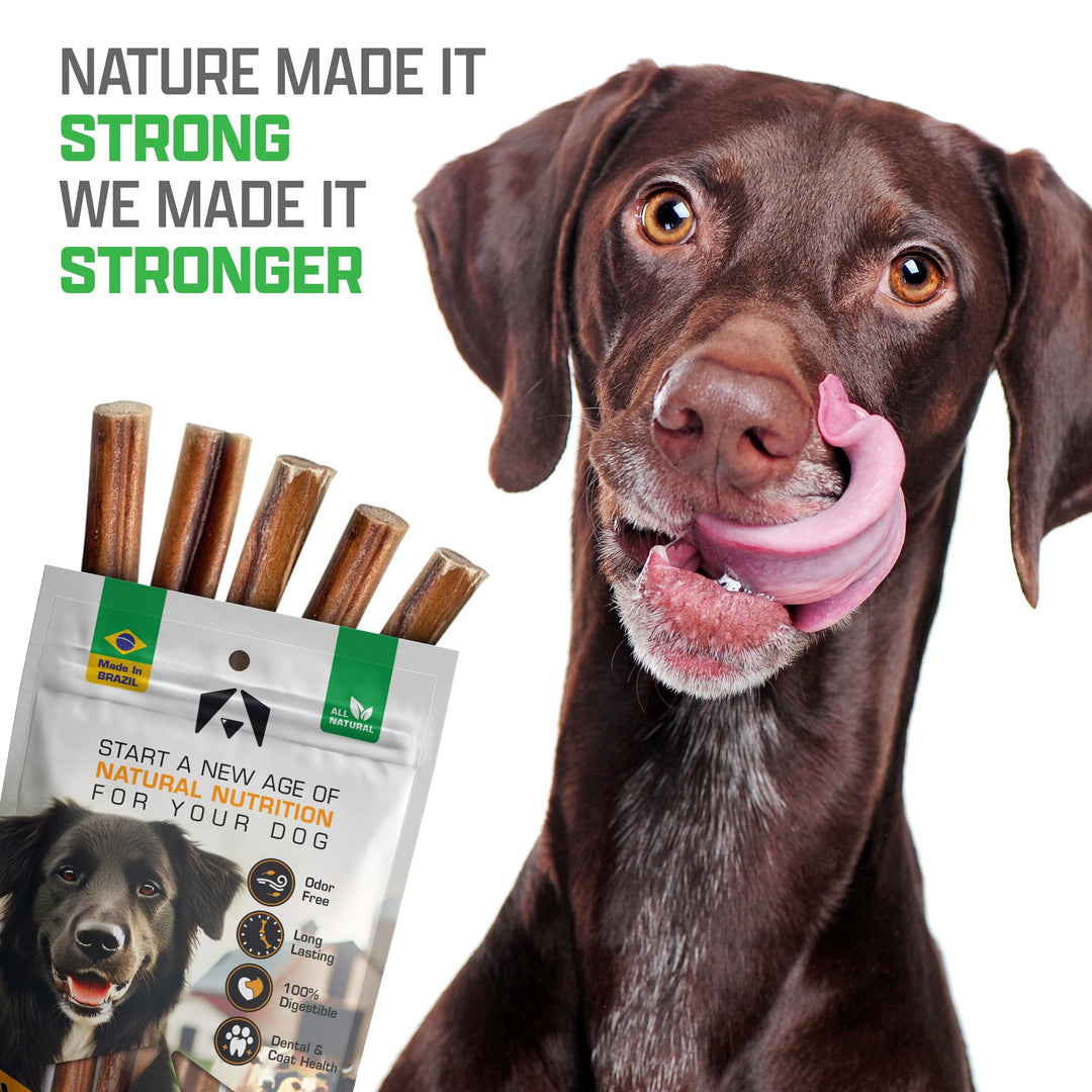 Brown dog licking its lips next to INVIROX natural beef bully sticks