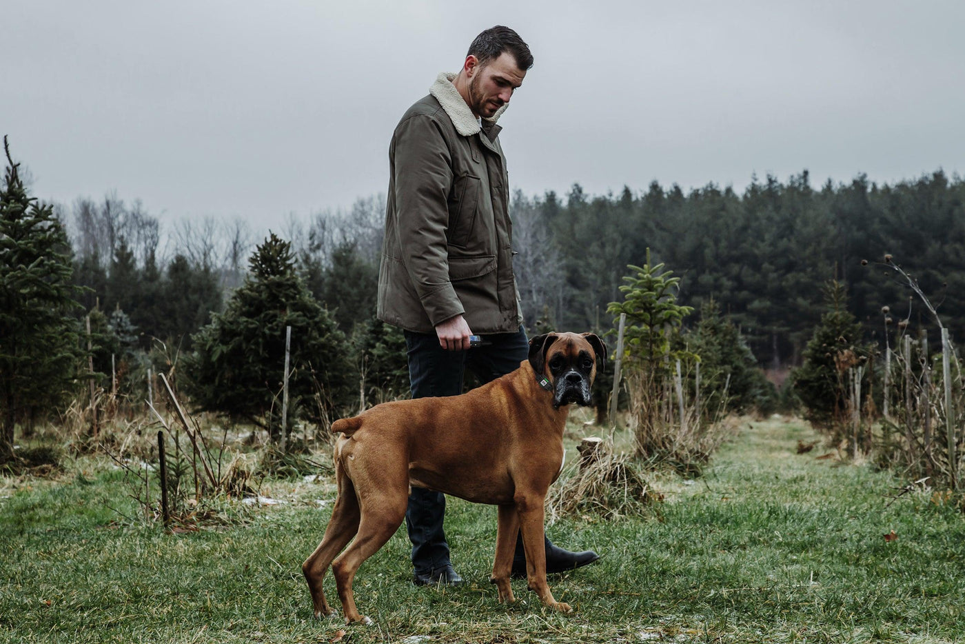 11 Things To Consider Before Buying A Shock Collar