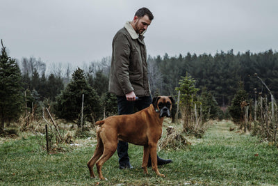 11 Things To Consider Before Buying A Shock Collar