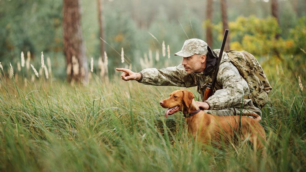 Hunting Dog Training: First Steps for Turning Your Puppy into a Hunting Partner - INVIROX DOG TRAINING GEAR