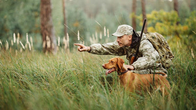 Adiestramiento de perros de caza: primeros pasos para convertir a su cachorro en un compañero de caza