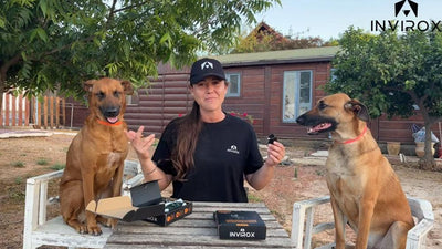 How To Use INVIROX Dog Training Collar