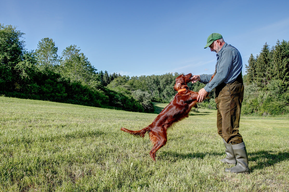 Pooch Method How to Calm an Overstimulated Dog: The 5-Step Method – INVIROX DOG ...