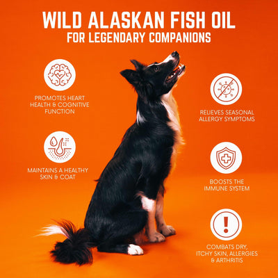 BACK 40 Dogs Wild Alaskan Fish Oil for Dogs, Skin and Coat Supplement - 16oz