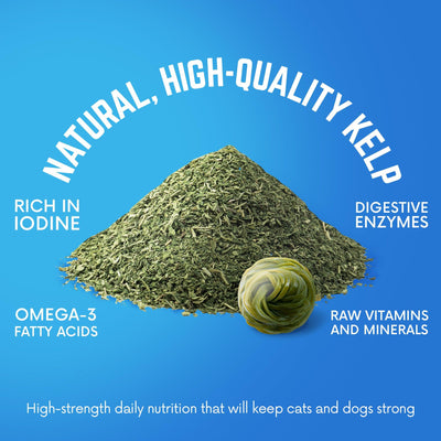 BACK 40 Dogs Kelp Powder Immunity Supplement - 16oz