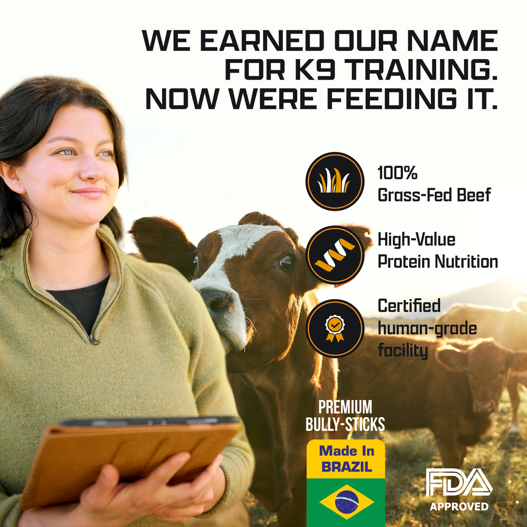 best bully sticks for puppy