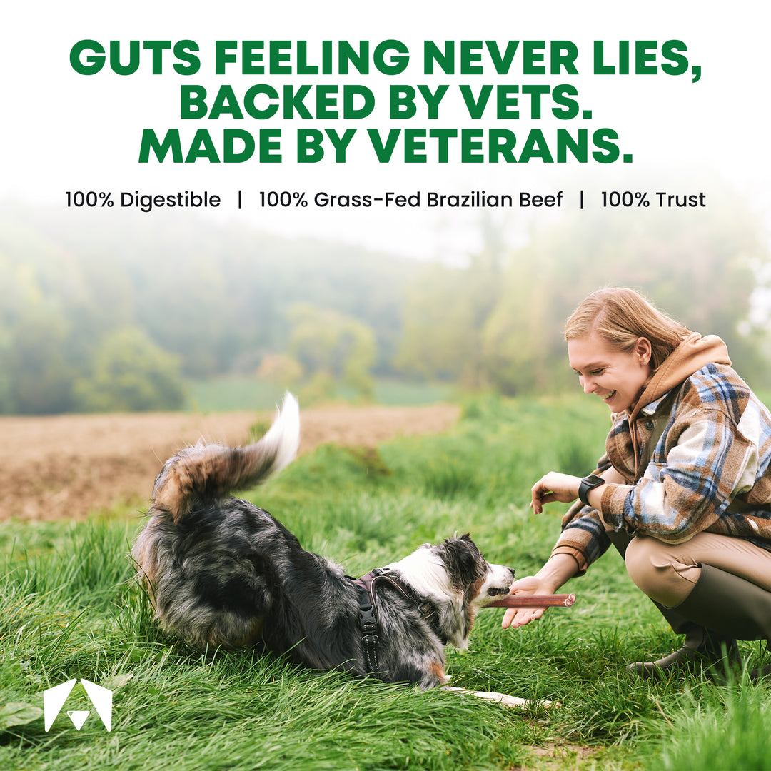 Which bully sticks is best for my dogs?