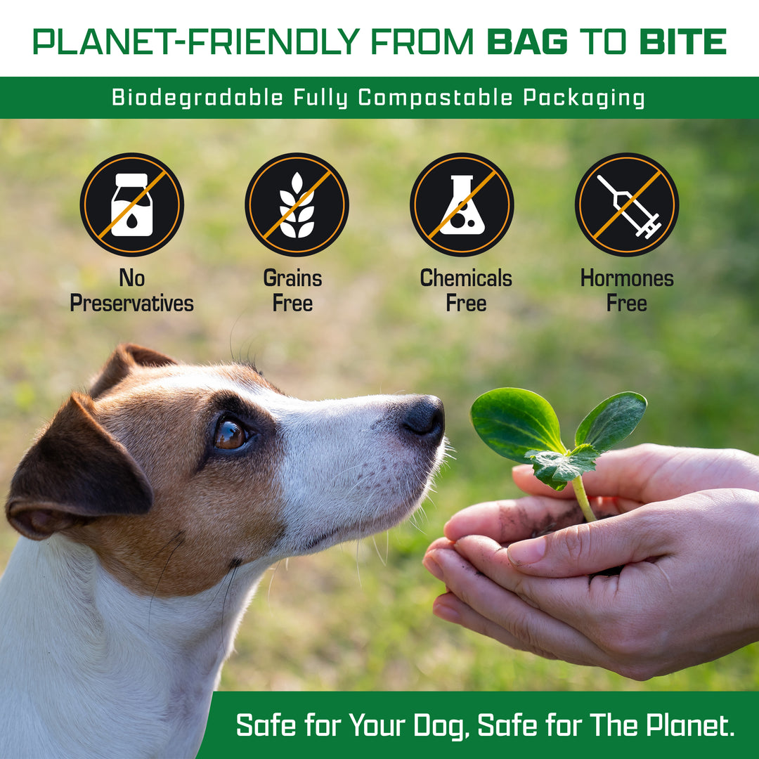 Best pizzle sticks for dogs 