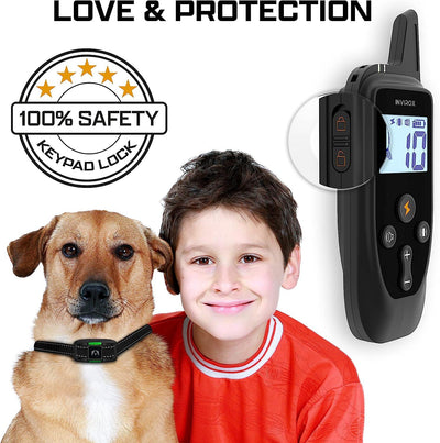 best dog training collar 