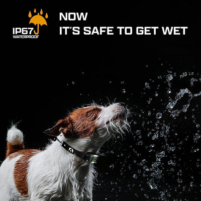 INVIROX X2 SPARK K9 Dog Training Collar
