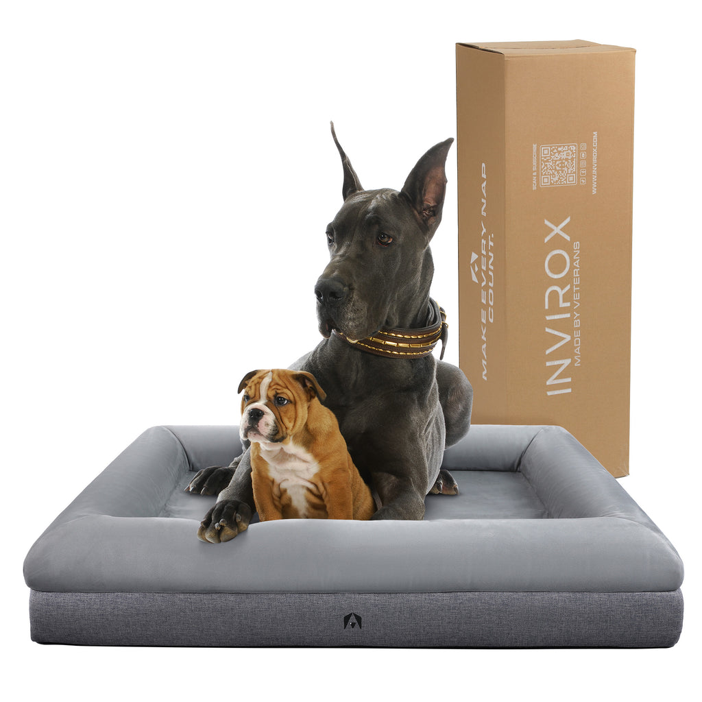 Dog Collar Casper Orthopedic Dog Bed Bedgear Performance Dog Bed