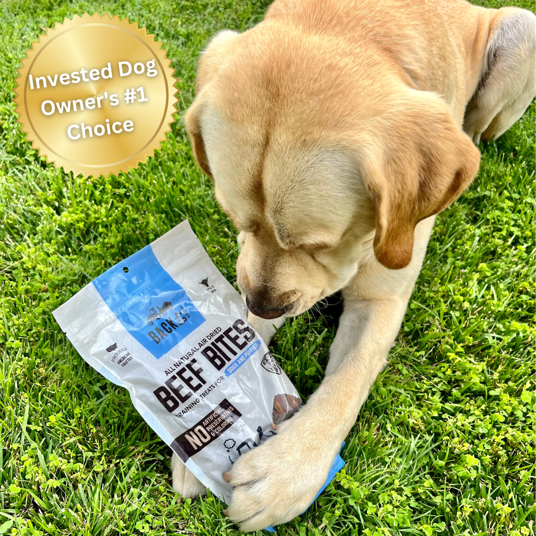 Beef Bites Bundle (2): All Natural Premium Air Dried Training Treats - 16oz