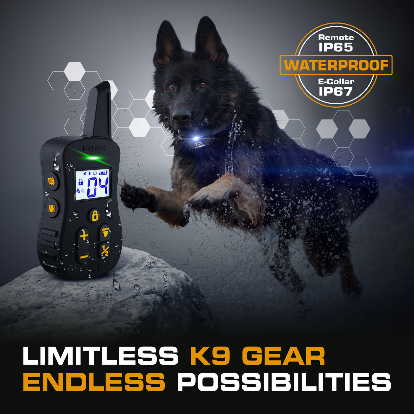 sport dog training collar