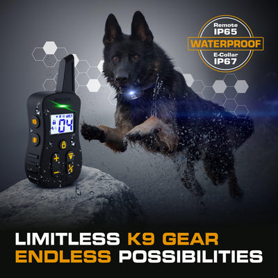 sport dog training collar