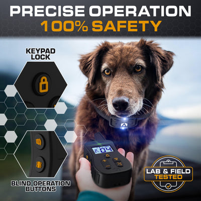 Is dog shock collar safe? 