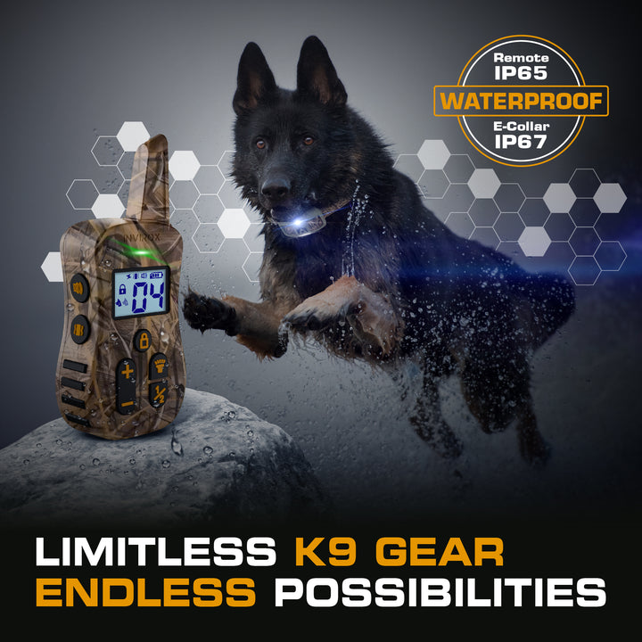 INVIROX ULTRA K9 E Collars - Hunting Limited Edition X2 - INVIROX DOG TRAINING GEAR