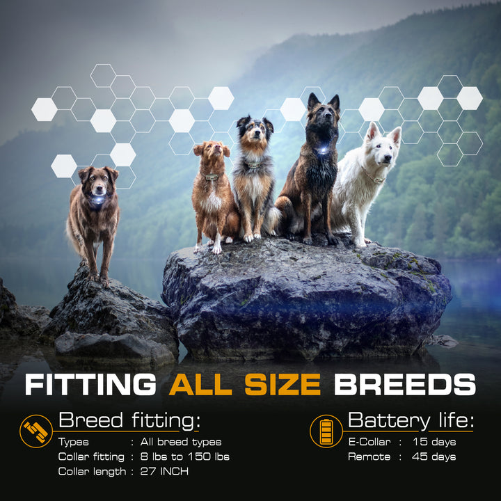 INVIROX ULTRA K9 E Collars - Hunting Limited Edition X2 - INVIROX DOG TRAINING GEAR