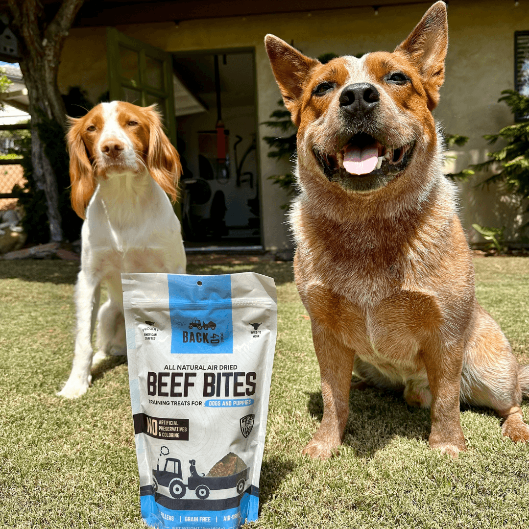 Beef Bites + Antler Chew Bundle