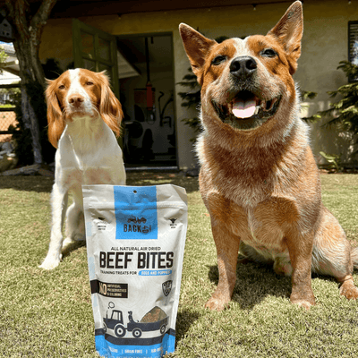 Beef Bites + Antler Chew Bundle