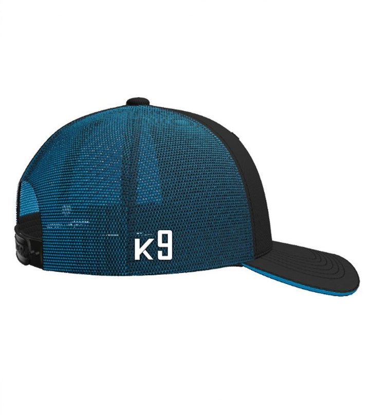 INVIROX K9 Cap