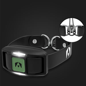 spark collar green color 