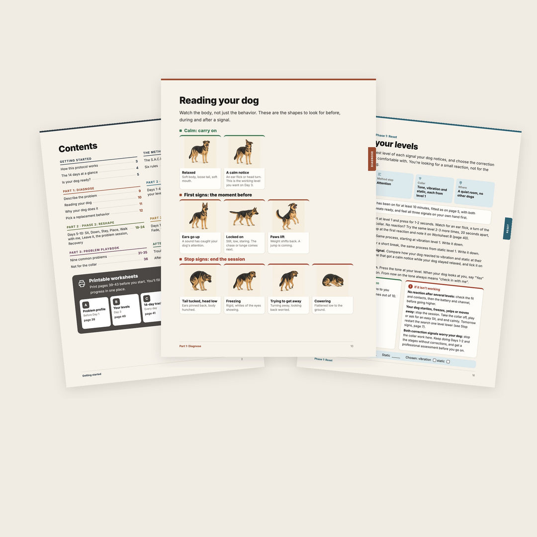 Inside the 14-Day Protocol: contents, Reading your dog and a day page