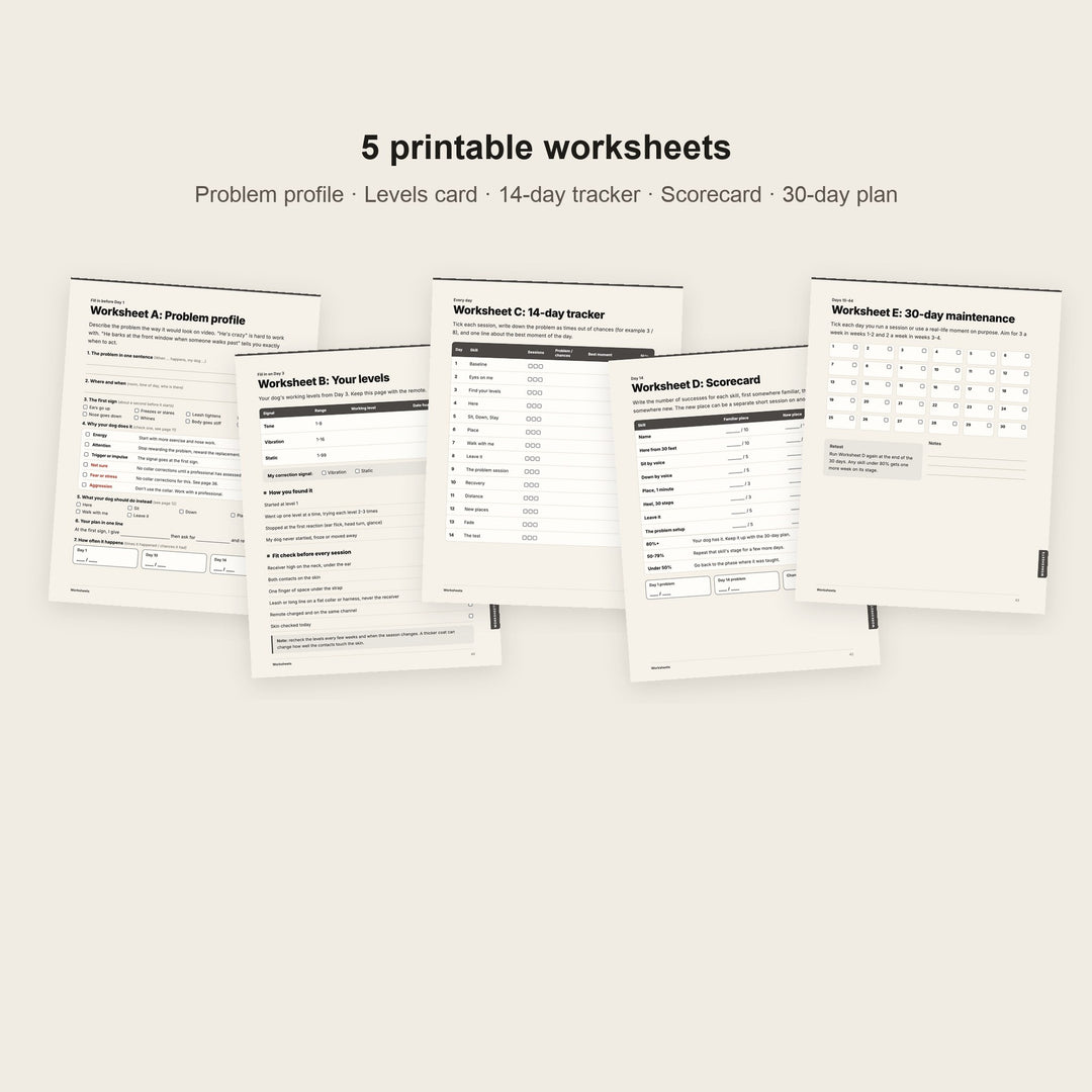 The 5 printable worksheets included in the 14-Day Protocol