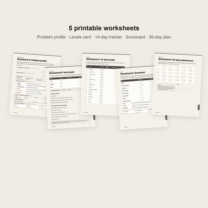 The 5 printable worksheets included in the 14-Day Protocol