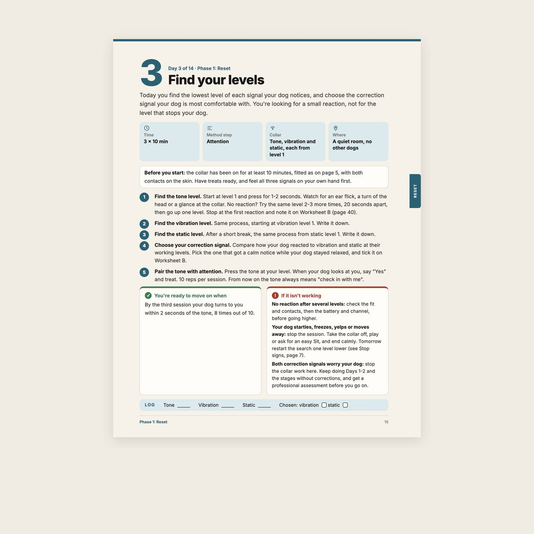 Day 3 page of the 14-Day Protocol: Find your levels