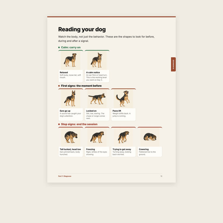Reading your dog: calm signs, first signs and stop signs, illustrated