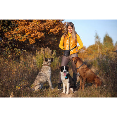 INVIROX Dog Treat Pouch For Dog Training