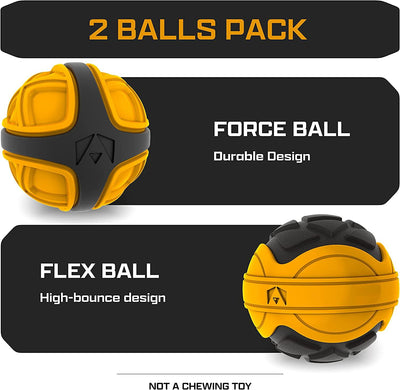 INVIROX Fetch Ball Set Dog Toys