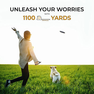 INVIROX X2 Dog Training Collars System For 2 Dogs