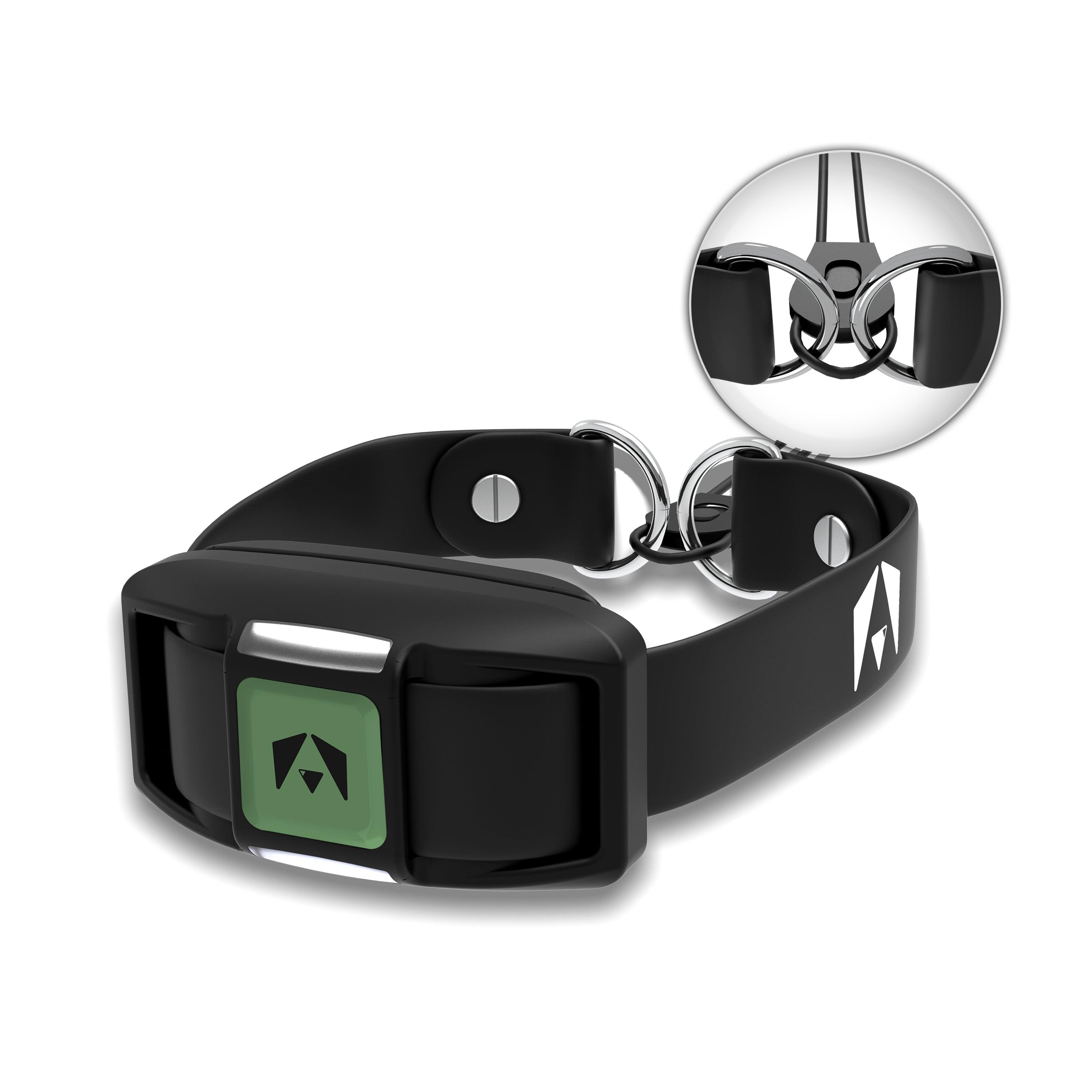 INVIROX SPARK K9 E COLLAR Replacement Training Collar INVIROX DOG