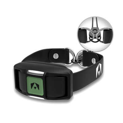 INVIROX SPARK K9 E COLLAR