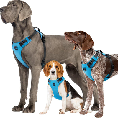 INVIROX X-PRO DOG HARNESS