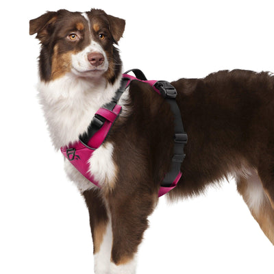 INVIROX X-PRO DOG HARNESS