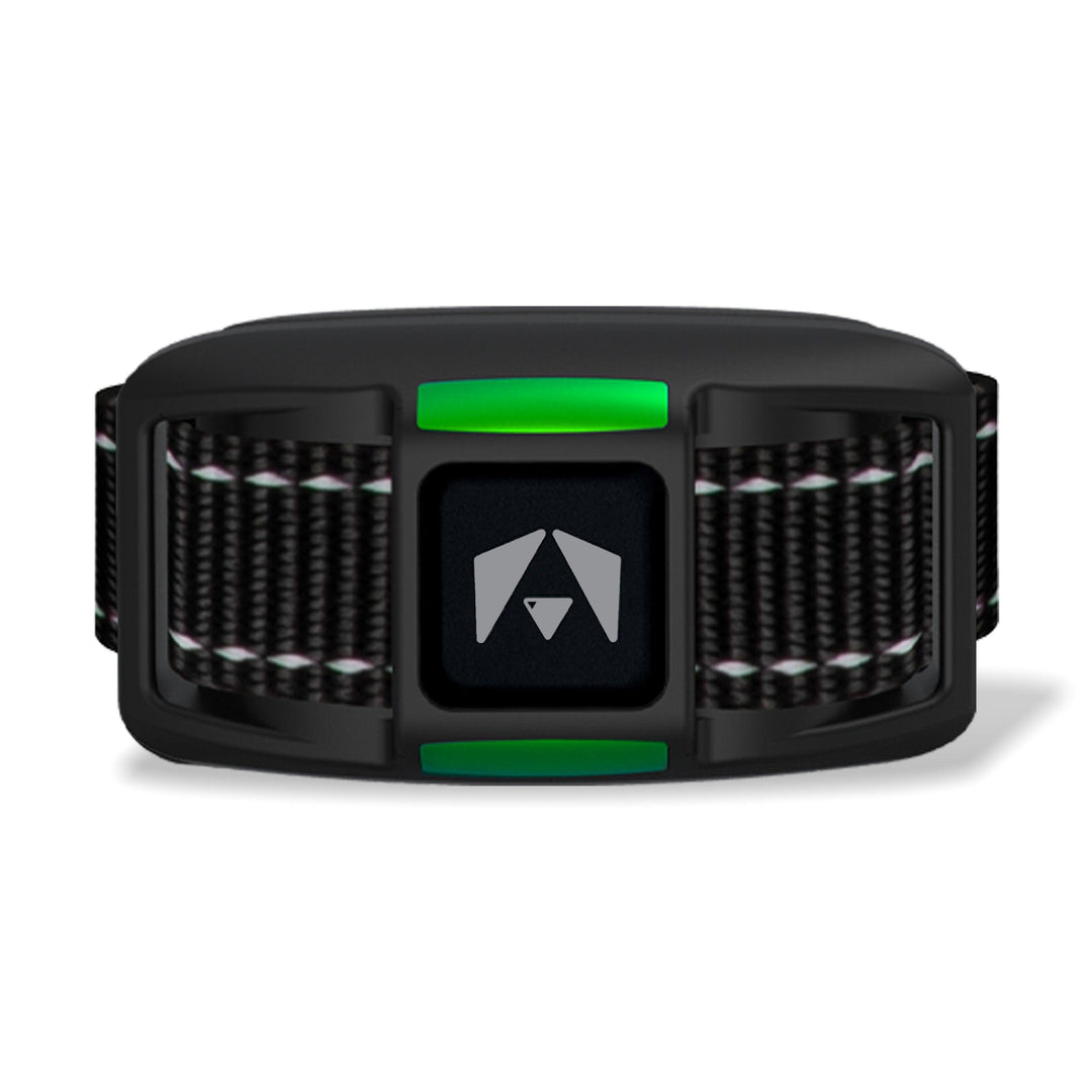 INVIROX Dog Training Collar 135 reviews Regular price $39.99 Sale price $35.99 Save 10%