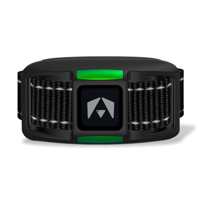 INVIROX dog training collar