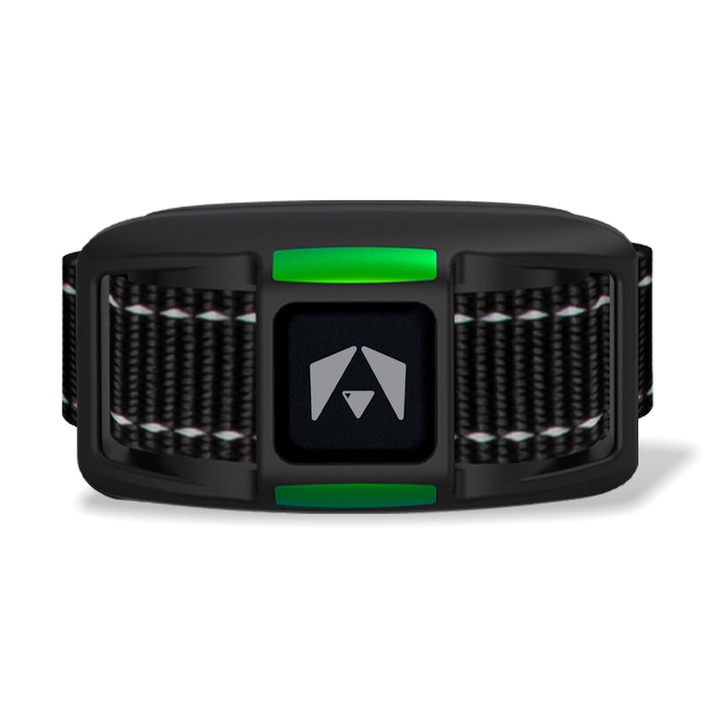 INVIROX dog training collar