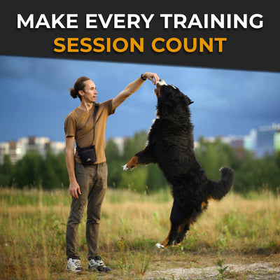 INVIROX Dog Treat Bolsa para entrenamiento de perros 