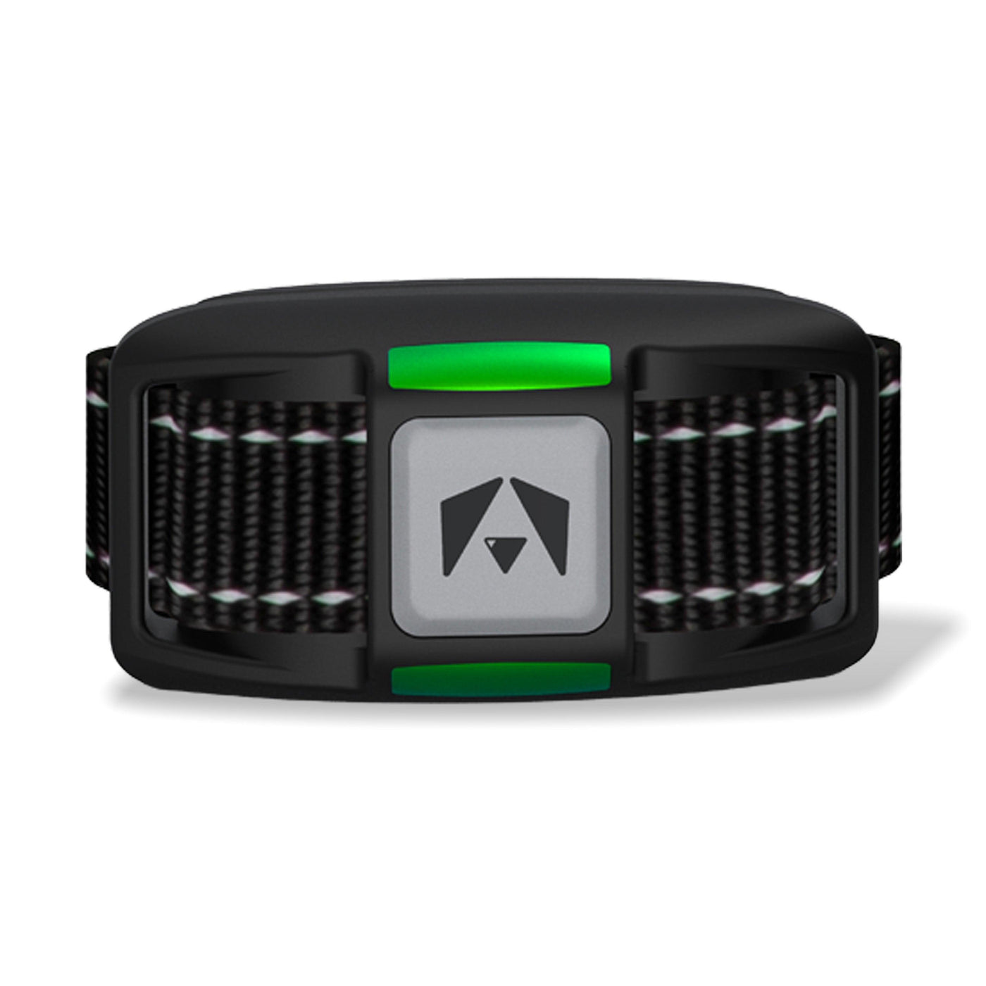 INVIROX dog e collar 