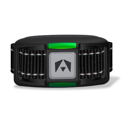 INVIROX dog e collar 